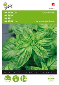 Buzzy® Basilicum Grootbladig - afbeelding 1