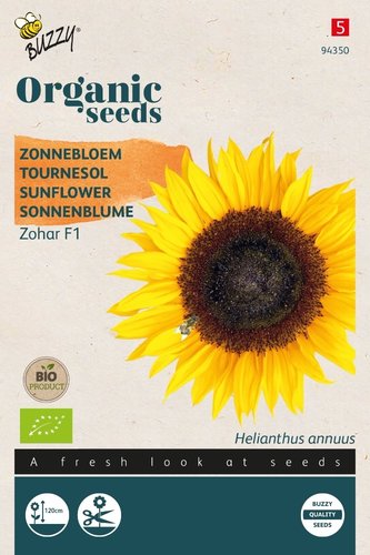 Buzzy® Organic Helianthus, Zonnebloem Zohar F1 (BIO) - afbeelding 1