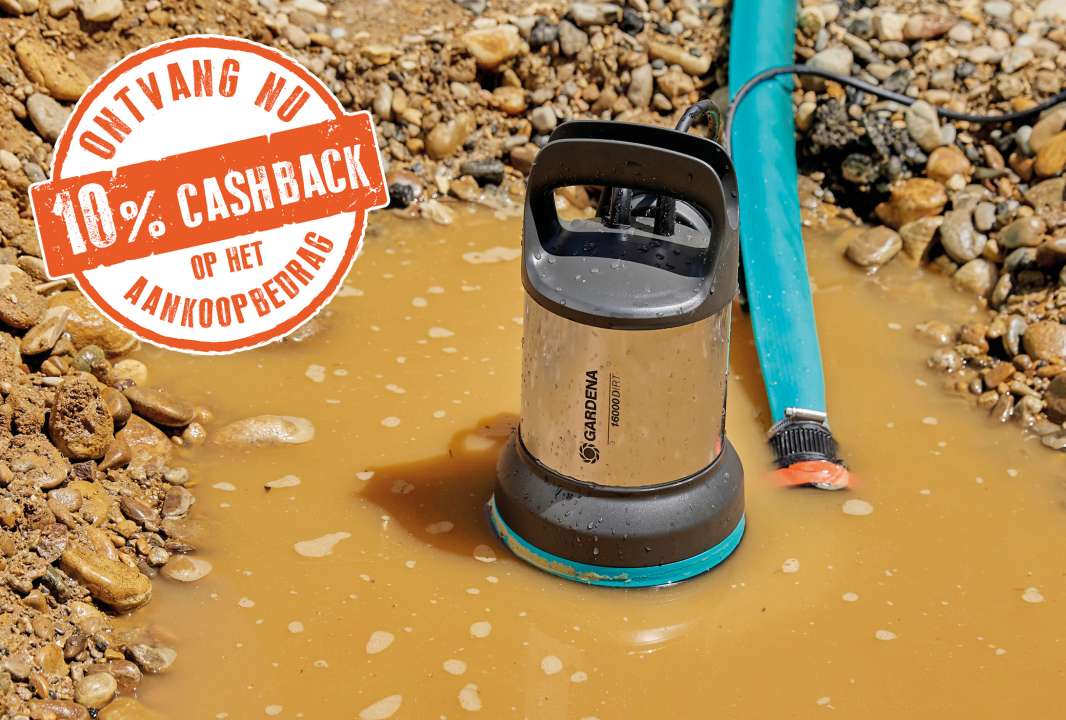 Ontvang 10% cashback op het aankoopbedrag van geselecteerde pompen.