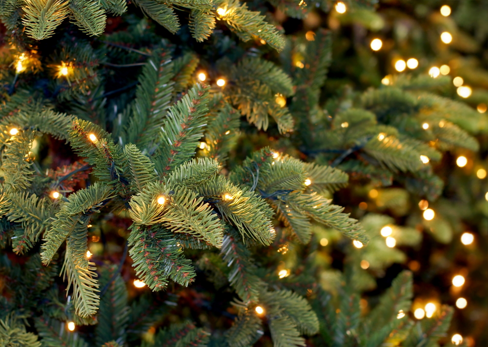 Black Box Trees kunstkerstbomen