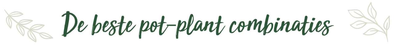 De beste pot-plant combinaties