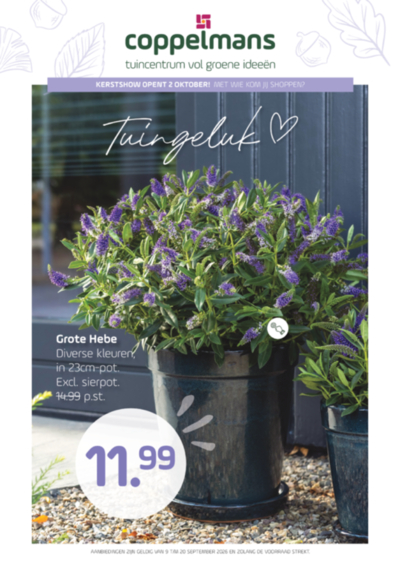 Bekijk →