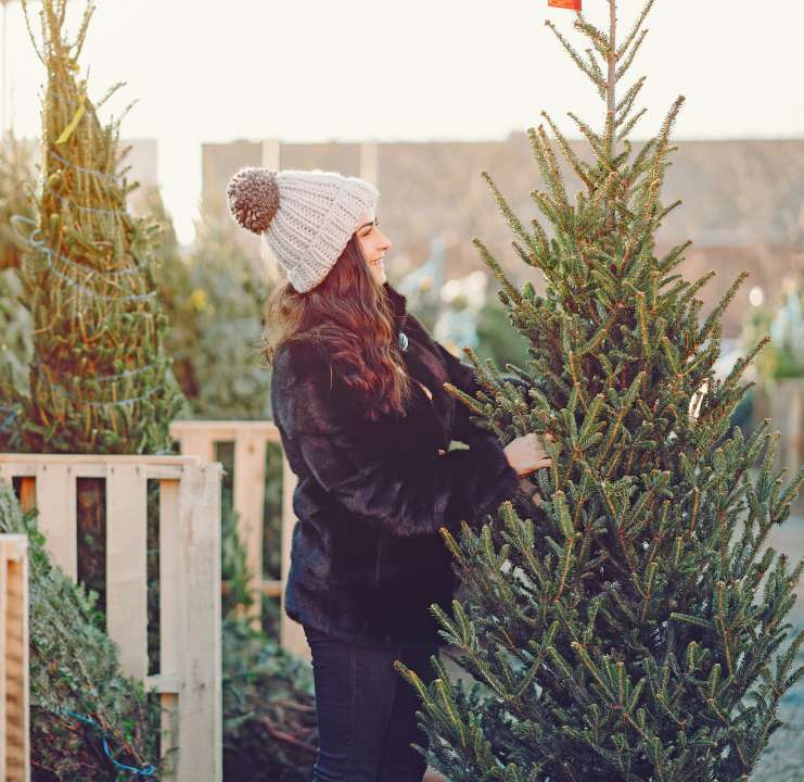 Spanning Kreet Filosofisch Kerstbomen - Tuincentrum Coppelmans