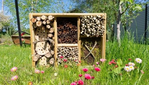 11 tips voor een biodiverse tuin 11 tips voor een biodiverse tuin