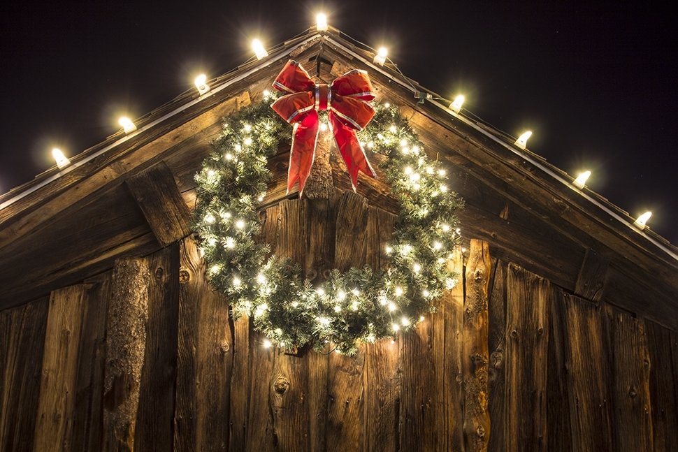 11 tuintips voor december 11 tuintips voor december