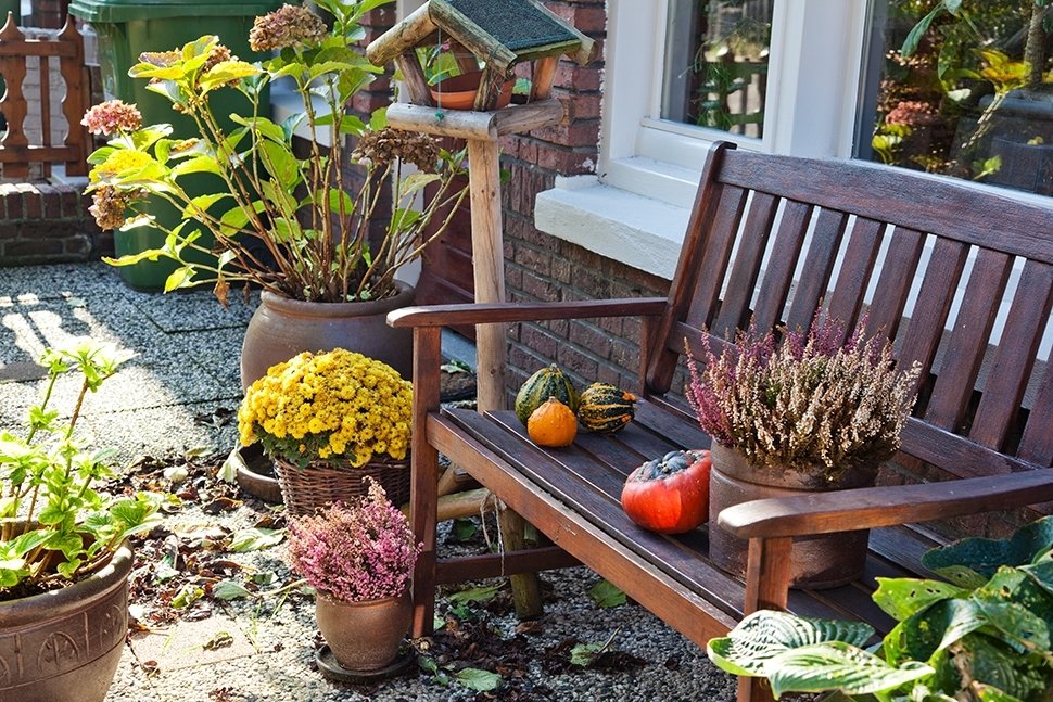 15 tuintips November 15 tuintips November