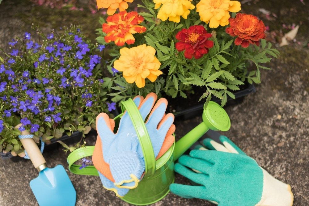 15 tuintips voor de maand mei 15 tuintips voor de maand mei