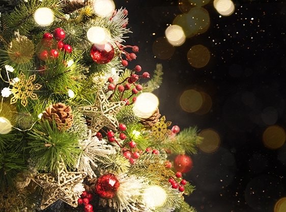 15 tuintips voor december 15 tuintips voor december