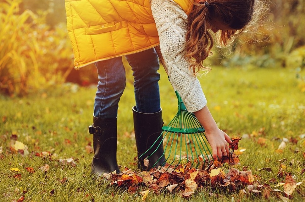 15 tuintips voor oktober 15 tuintips voor oktober