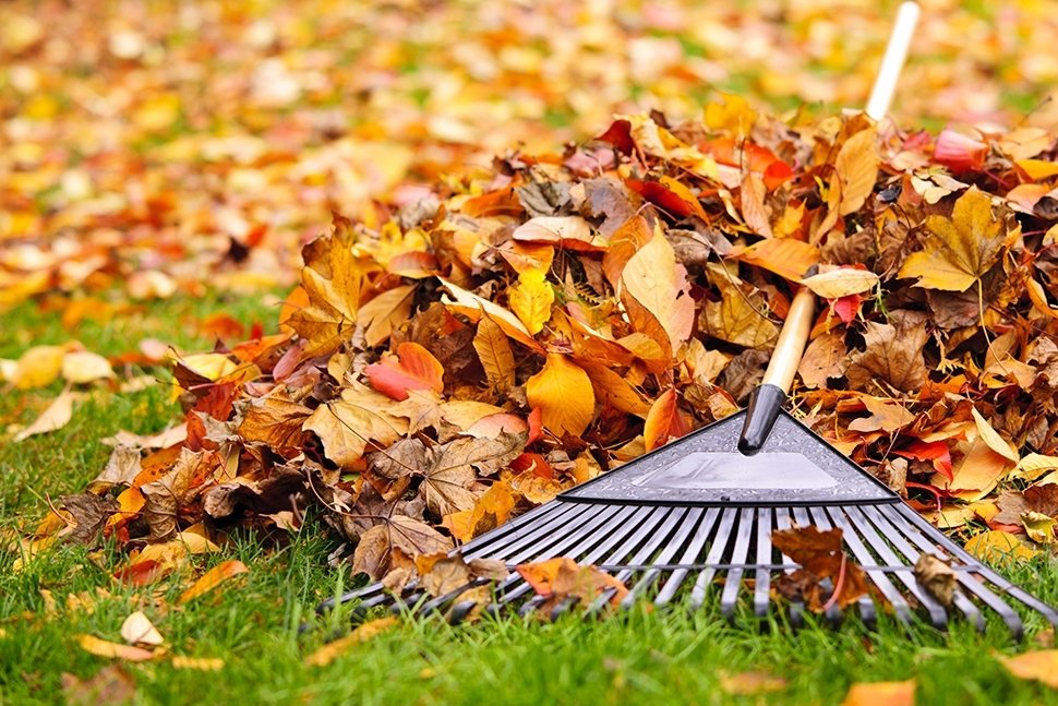 15x Tuintips voor oktober 15x Tuintips voor oktober