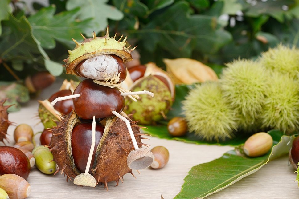 5 groene activiteiten voor de kinderen in de herfstvakantie 5 groene activiteiten voor de kinderen in de herfstvakantie