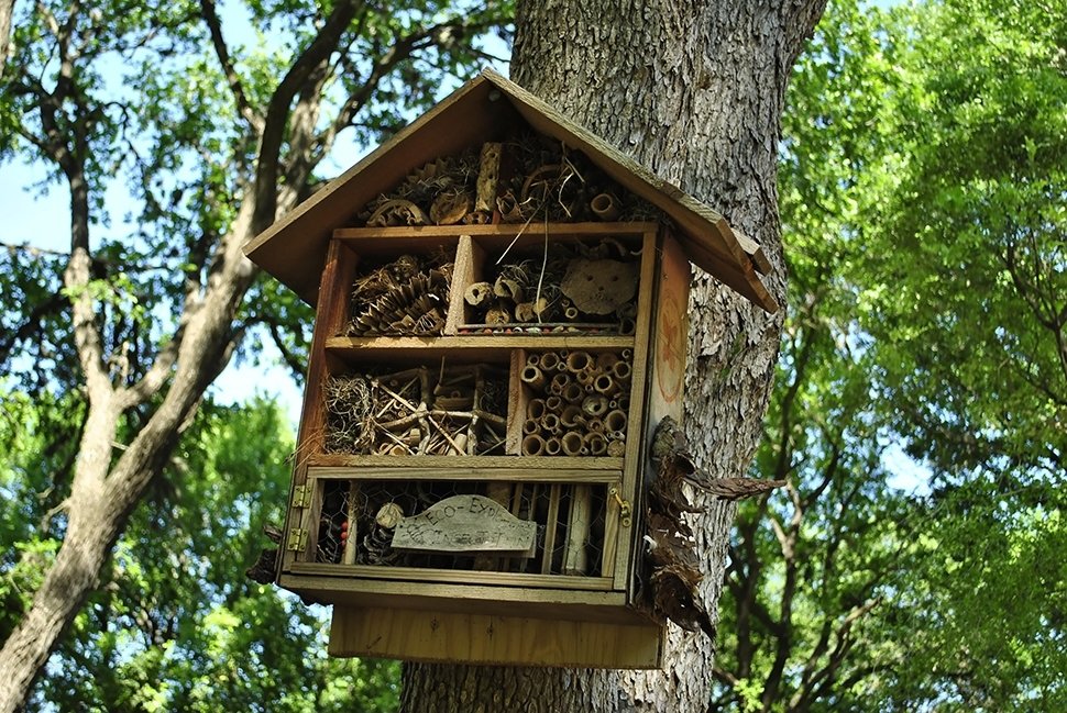 5 tips voor het maken van een insectenhotel 5 tips voor het maken van een insectenhotel