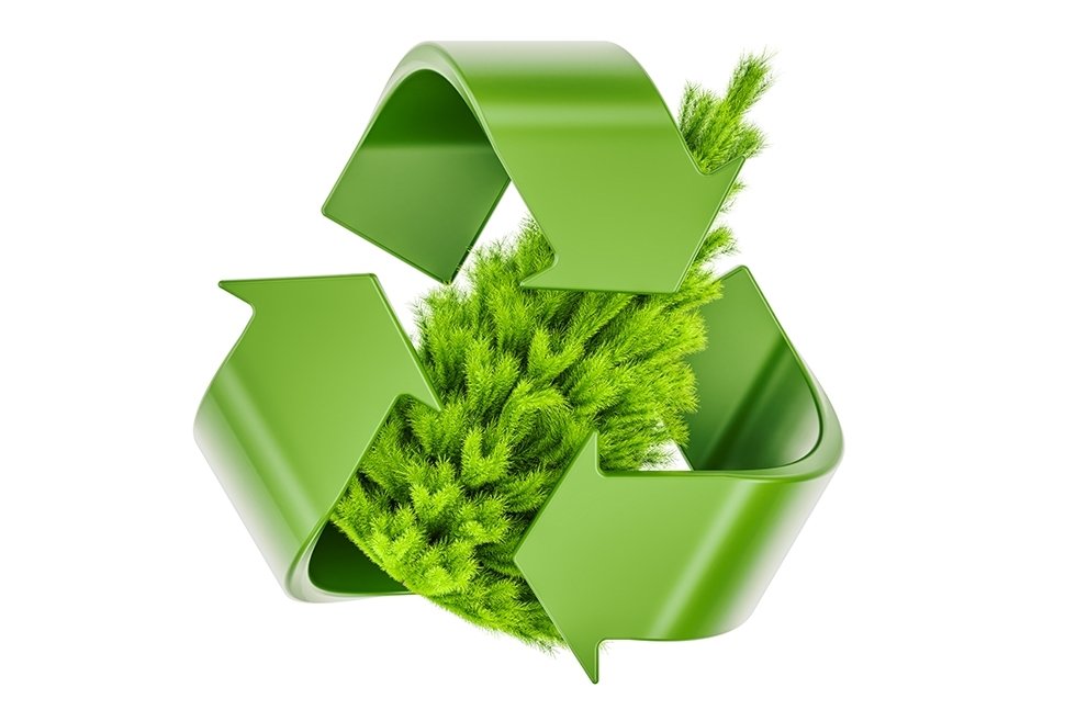 5 tips voor het recyclen van je kerstgroen 5 tips voor het recyclen van je kerstgroen