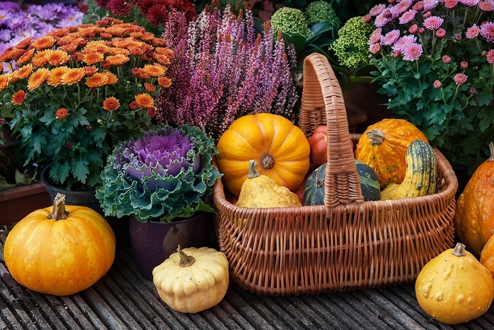 Bakken vol herfstkleur Bakken vol herfstkleur