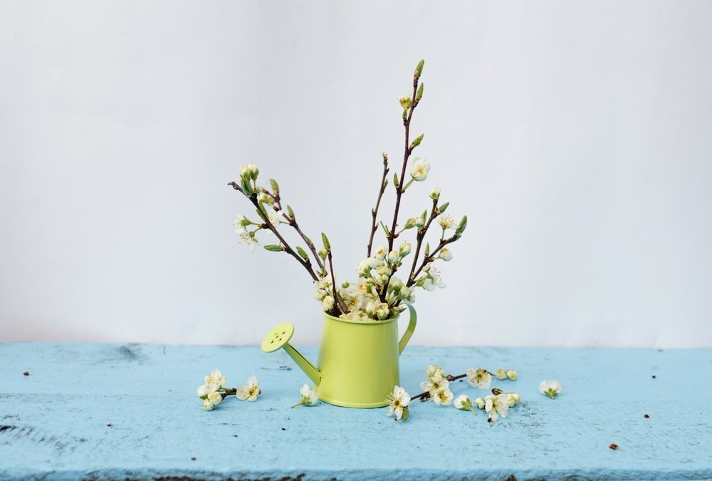 Bloeiende takken: haal de lente in huis Bloeiende takken: haal de lente in huis