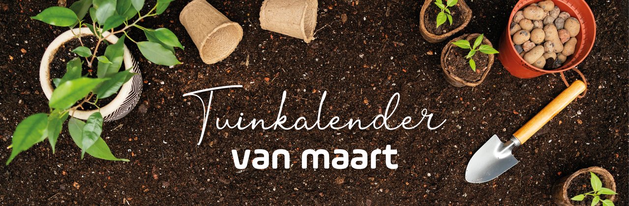 Tuinkalender maart