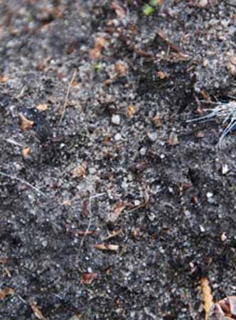 Grond en grondbewerking Grond en grondbewerking