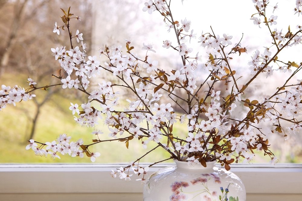 Haal de lente in huis met bloesemtakken Haal de lente in huis met bloesemtakken
