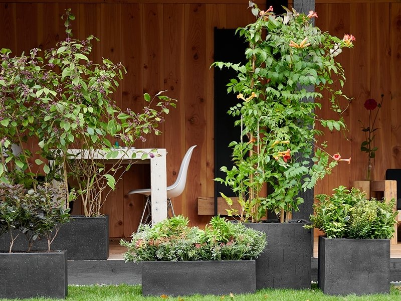 Indian Summer: tuinplanten van de maand september 2019 Indian Summer: tuinplanten van de maand september 2019
