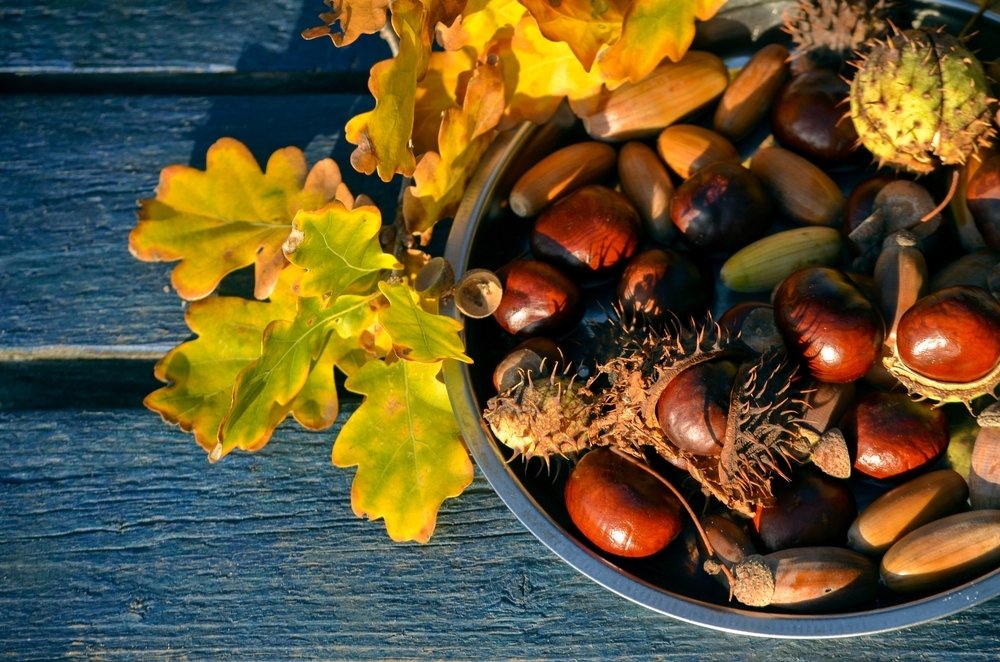 Knutselen met kastanjes in de herfstvakantie Knutselen met kastanjes in de herfstvakantie