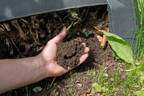 Landelijke Compostdag 2022 Landelijke Compostdag 2022