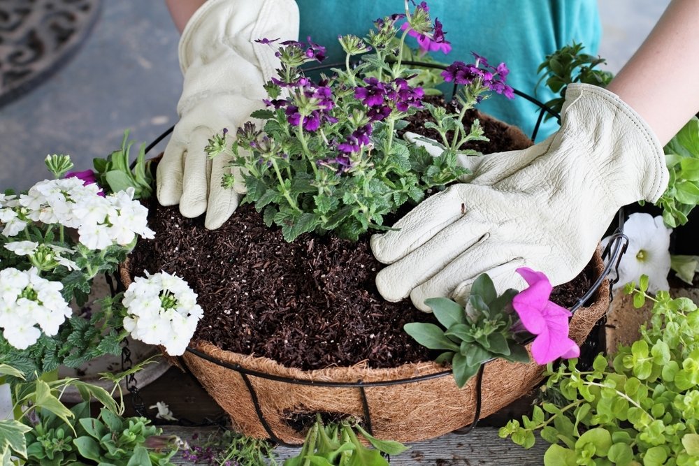 Maak een fleurige hanging basket Maak een fleurige hanging basket