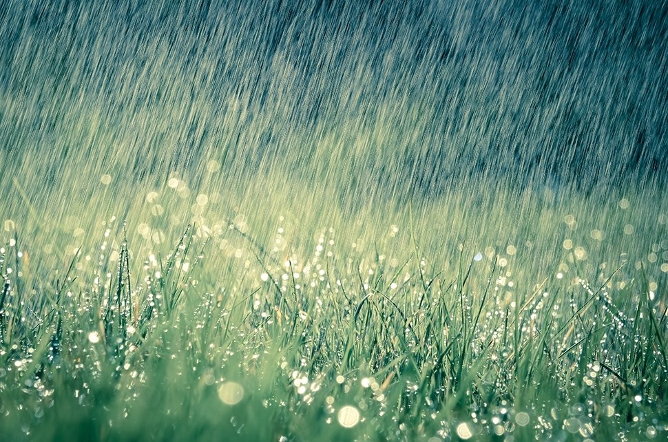 Maak je tuin regenbestendig Maak je tuin regenbestendig