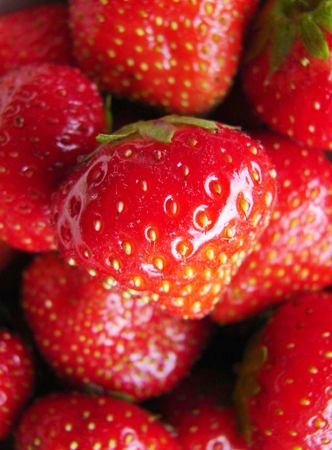 Moestuintips juni Moestuintips juni