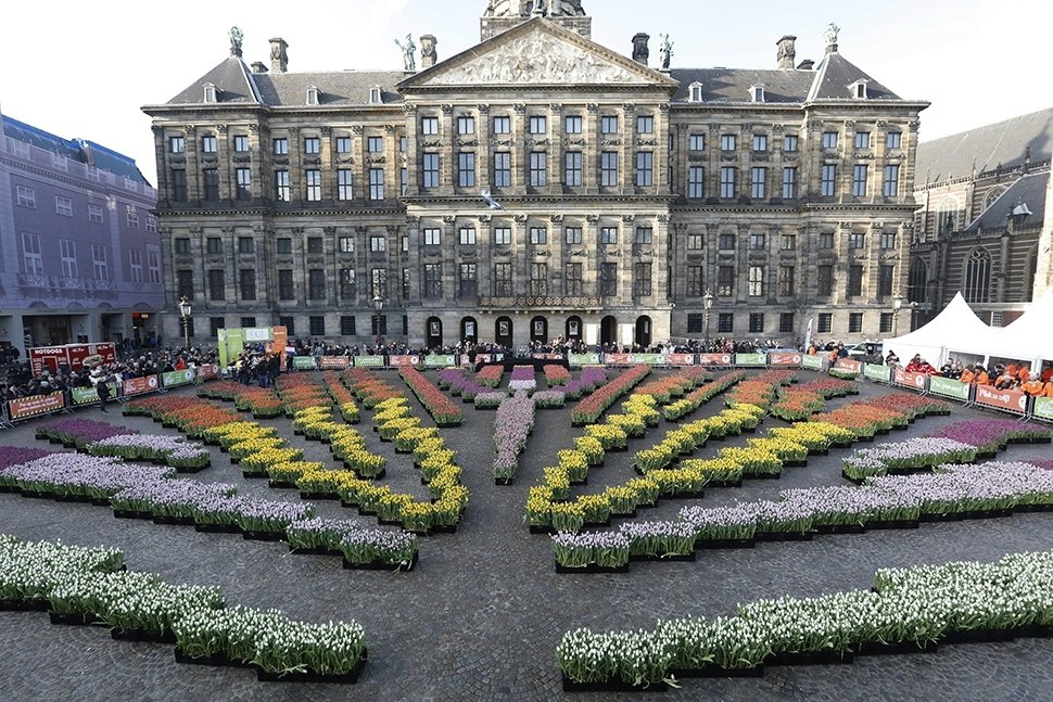 Nationale Tulpendag 2020 Nationale Tulpendag 2020