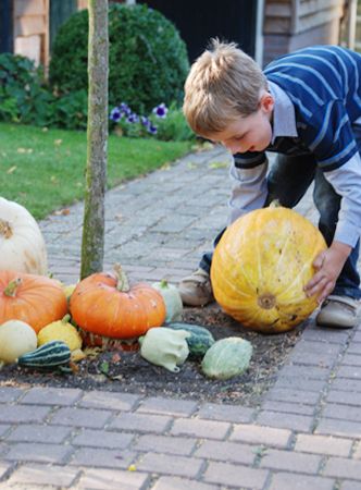 Pompoenen en kalebassen Pompoenen en kalebassen