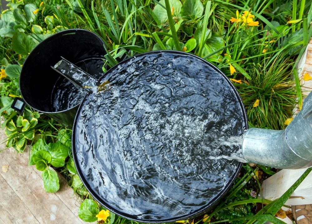 Toptips voor tuin- en potplanten bij extreme droogte Toptips voor tuin- en potplanten bij extreme droogte