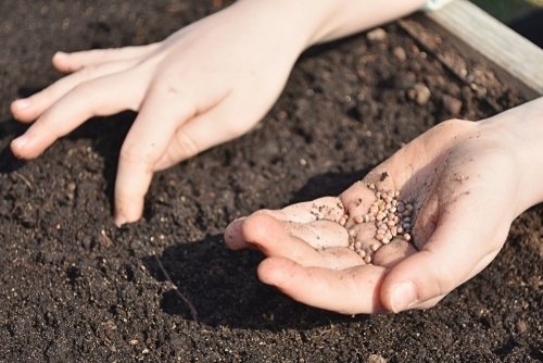 Tuin voorjaarsklaar? Zaaien maar! Tuin voorjaarsklaar? Zaaien maar!