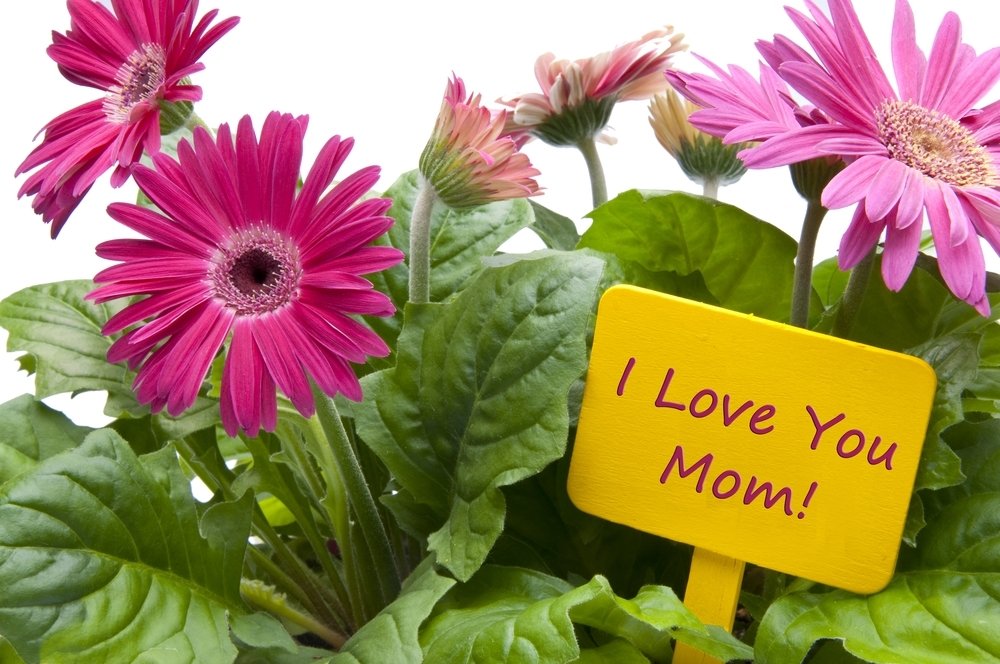 Tuincadeaus voor Moederdag Tuincadeaus voor Moederdag