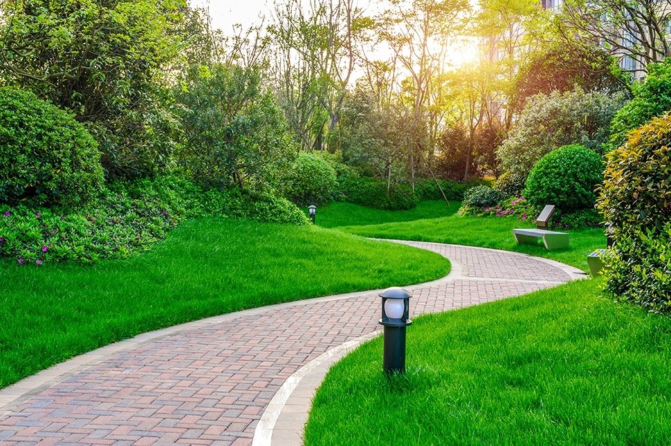 TuinIdee 2020 TuinIdee 2020