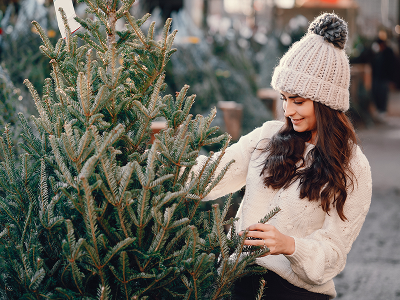 Wat is duurzamer: een echte of kunstkerstboom?