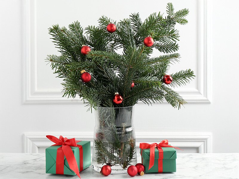 Wat zijn alternatieven voor de kerstboom (bv. Amaryllis, mini-kerstbomen, takken)?