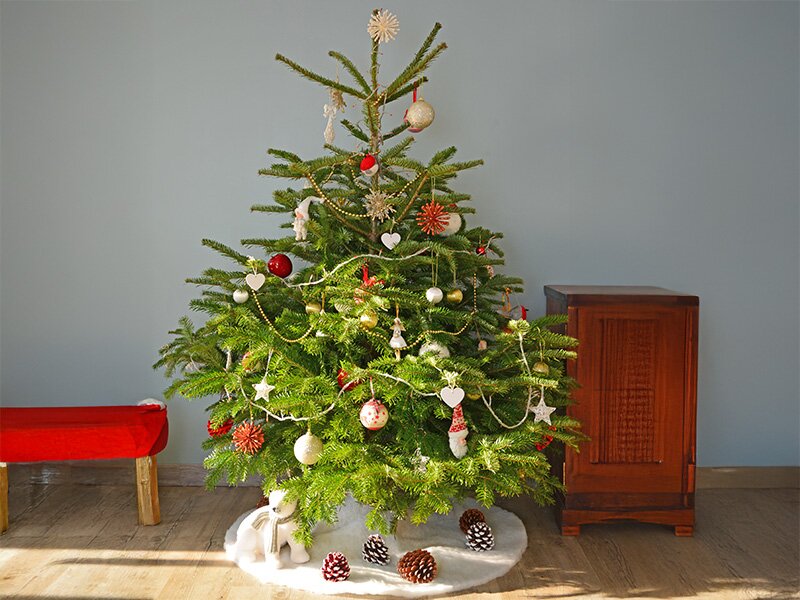 Welke kerstboom past het best in een klein appartement?
