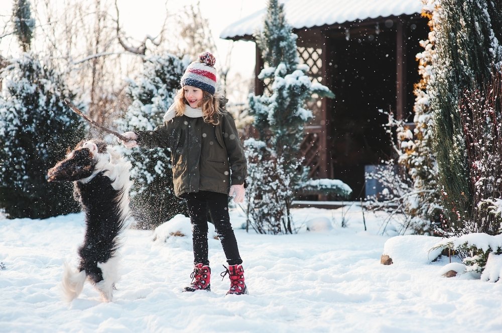 Winterbeschermingtips voor plant en dier Winterbeschermingtips voor plant en dier
