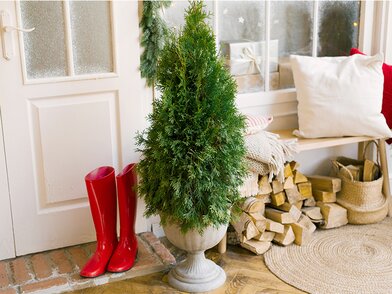 Hoe kan ik kerst duurzamer vieren (planten, decoratie, verlichting)?