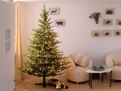 Hoe maak je een kerstboom kind- en diervriendelijk?