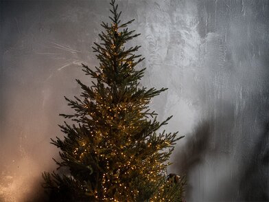 Hoeveel lampjes heb je nodig voor een kerstboom van 2 meter?