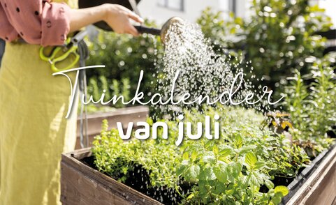 Tuinkalender juli