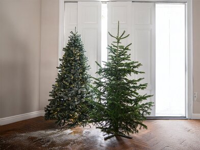 Welke soorten kerstbomen zijn er (echt vs. kunst)?