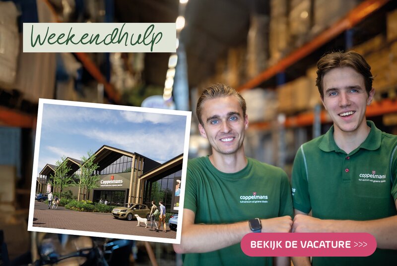 Coppelmans Veldhoven | Vacatures nieuwbouw
