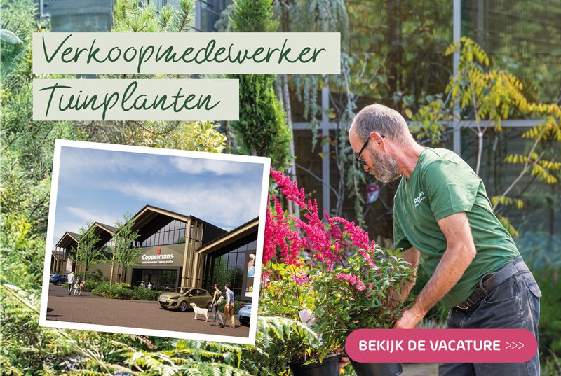 Coppelmans Veldhoven | Vacatures nieuwbouw