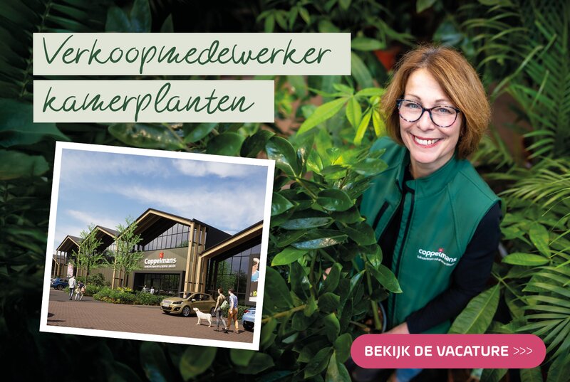 Coppelmans Veldhoven | Vacatures nieuwbouw