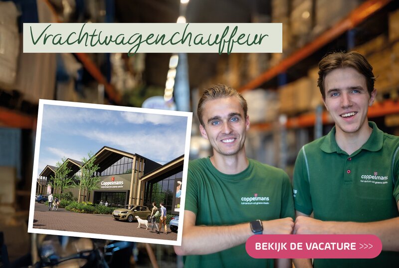 Coppelmans Veldhoven | Vacatures nieuwbouw