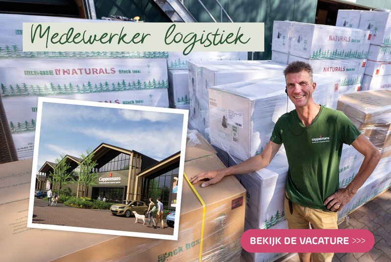 Coppelmans Veldhoven | Vacatures nieuwbouw