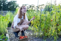 Blog | Angela's moestuin pagina