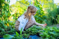 Blog | Angela's moestuin pagina